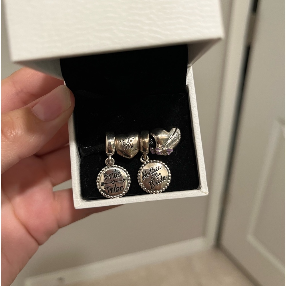 Authentic Pandora Charms Bundle - image 1